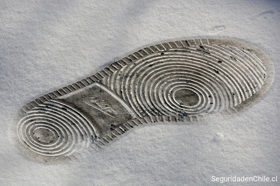 Perito Forense en Investigación Criminalística