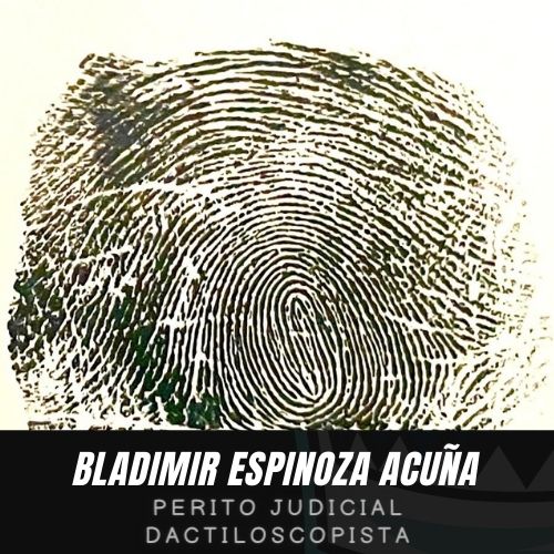 Perito Judicial Dactiloscopista