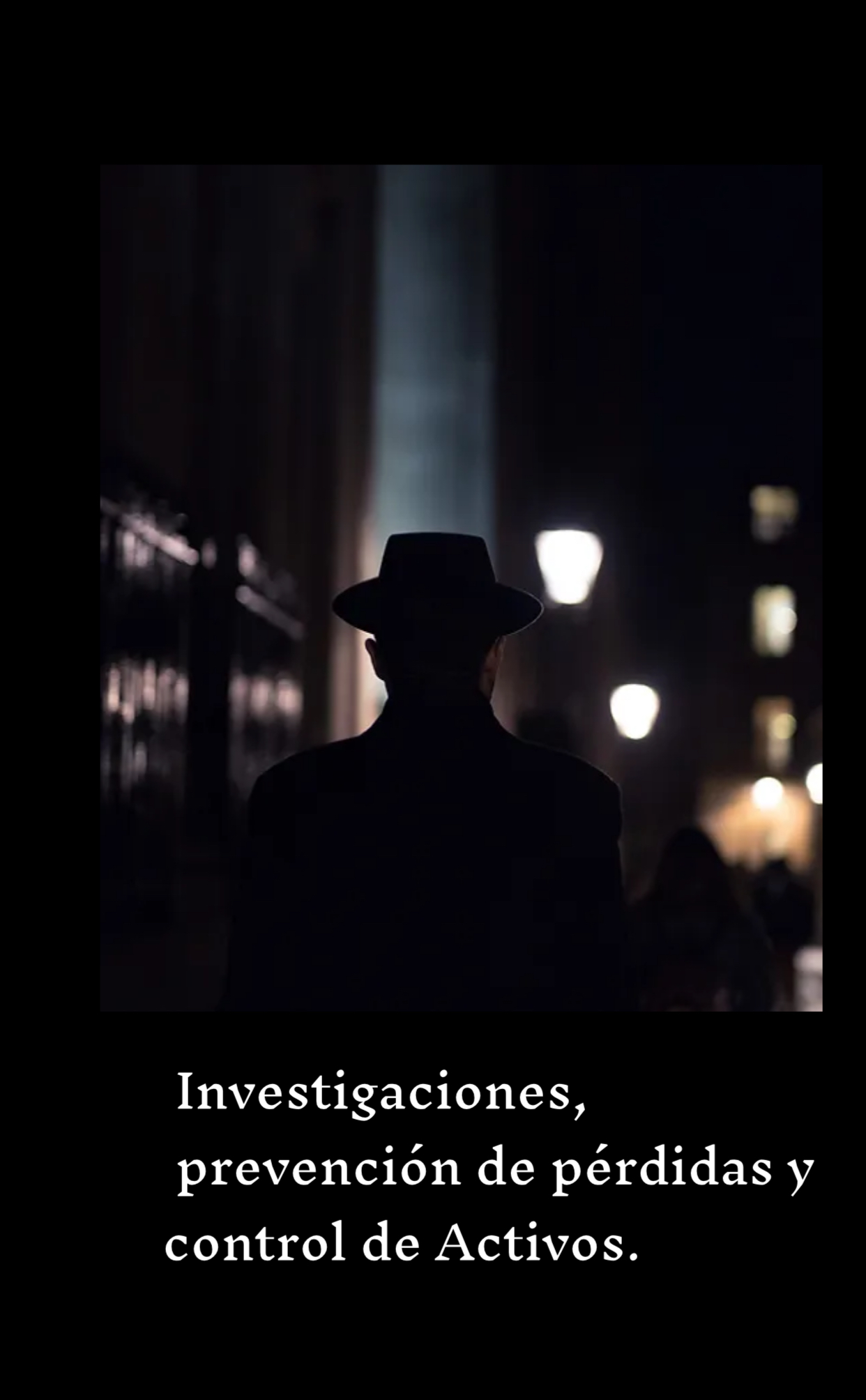 Consultoría y Asesoría Integral en Seguridad