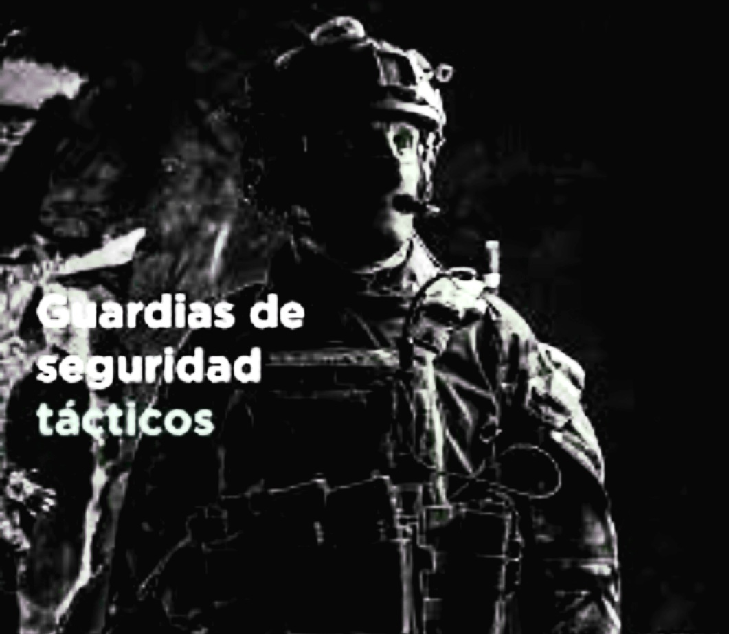 Empresa de Seguridad Privada Personalizada Ofrece Servicios de Guardias de Seguridad, para todo tipo de instalaciones y eventos.