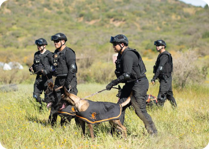 Servicios Especiales Guías Certificados & Perros Entrenados