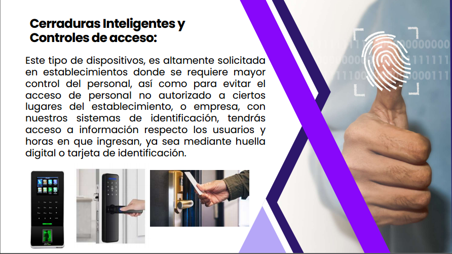 Sistemas De Seguridad y Control.