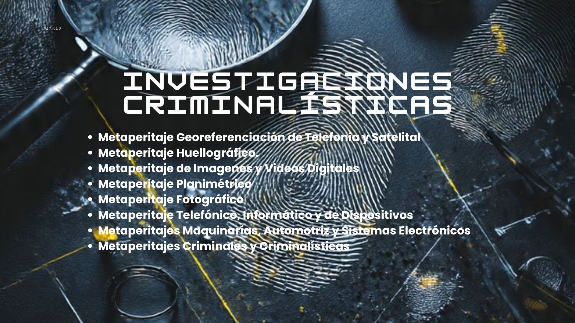 Metaperitajes Criminalísticos