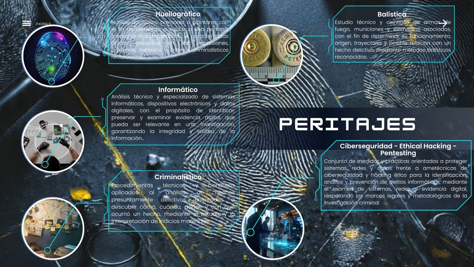 Metaperitajes Criminalísticos