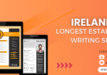 cv writing service ie